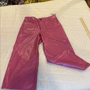 Maeve faux leather Collette in Rose NWT size 32